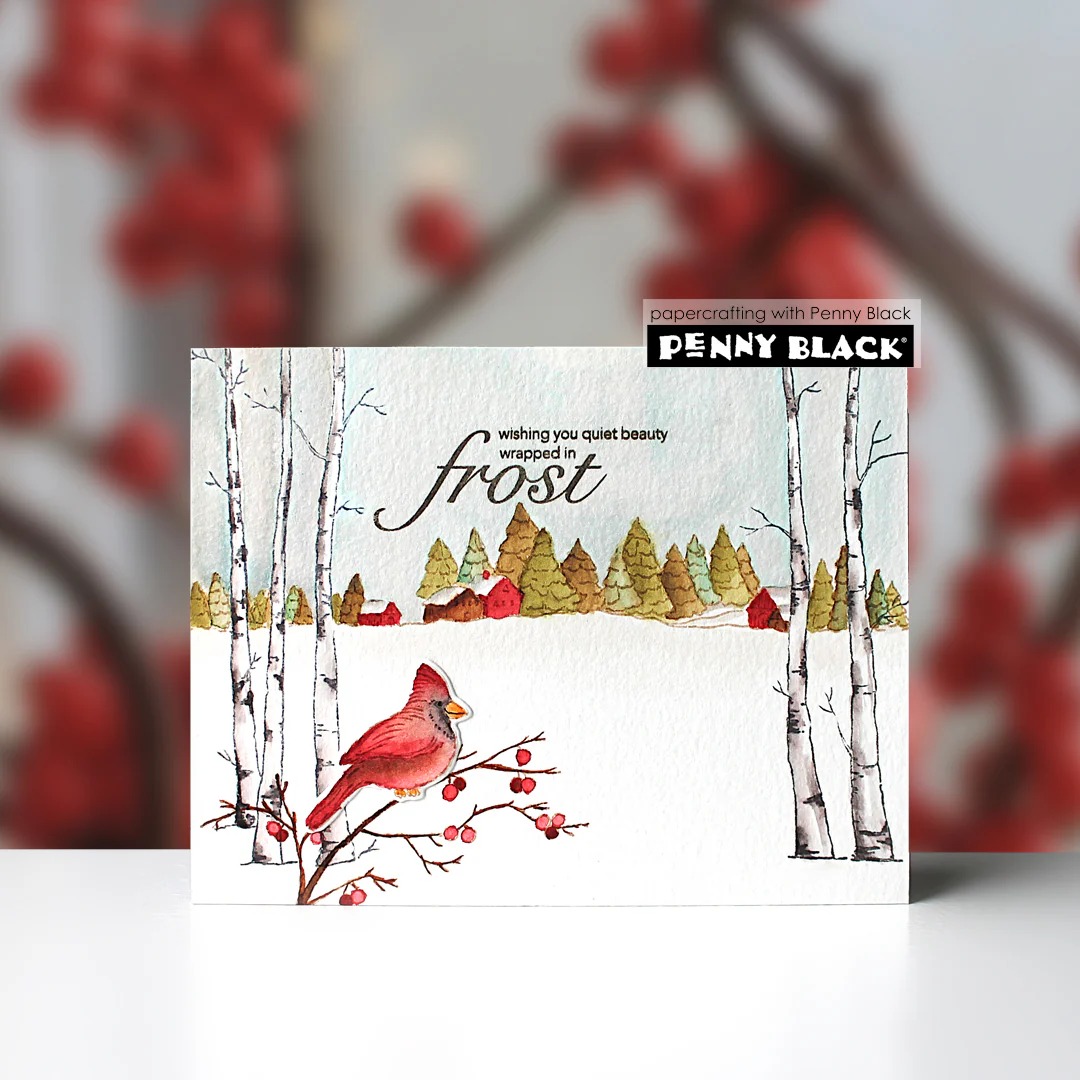 Sessiz Güzellik şeffaf silikon - Candle Making Books incelemesi ve fiyatı