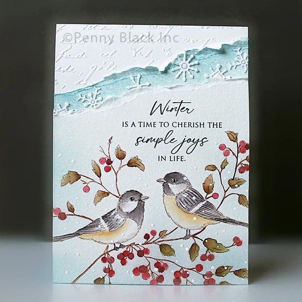 Sessiz Güzellik şeffaf silikon - Candle Making Books incelemesi ve fiyatı